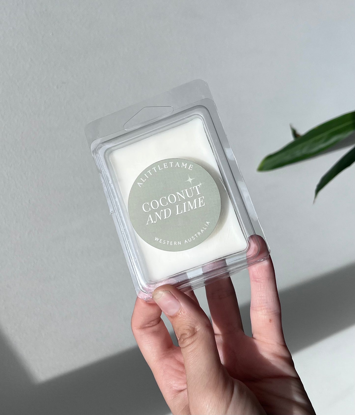 Hand-poured wax melts made with natural ingredients and premium fragrance oils