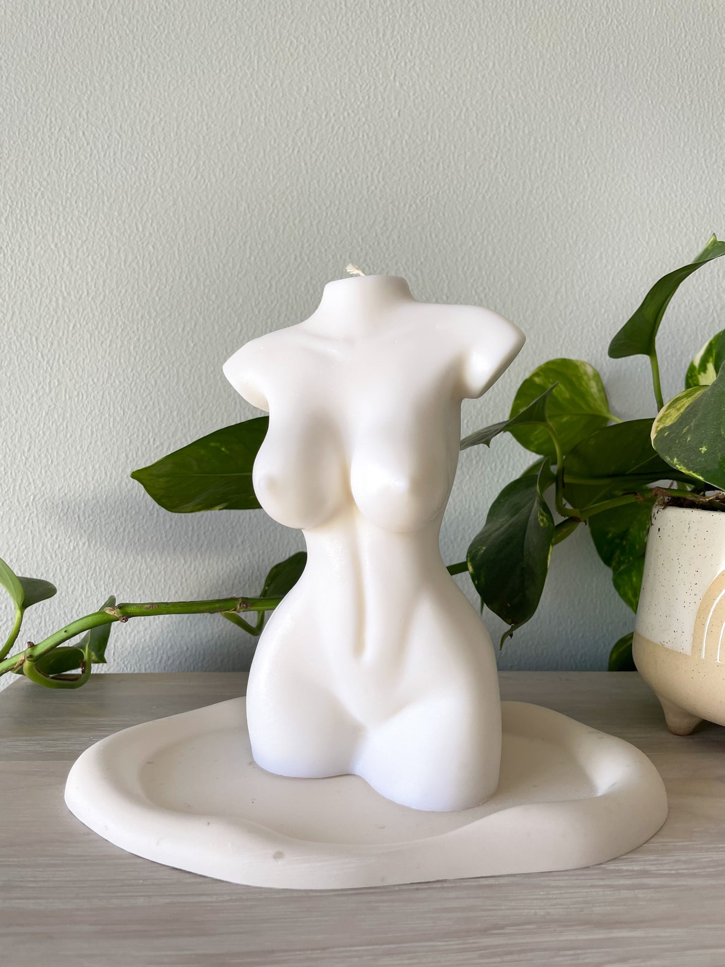 Willowy - 22cm