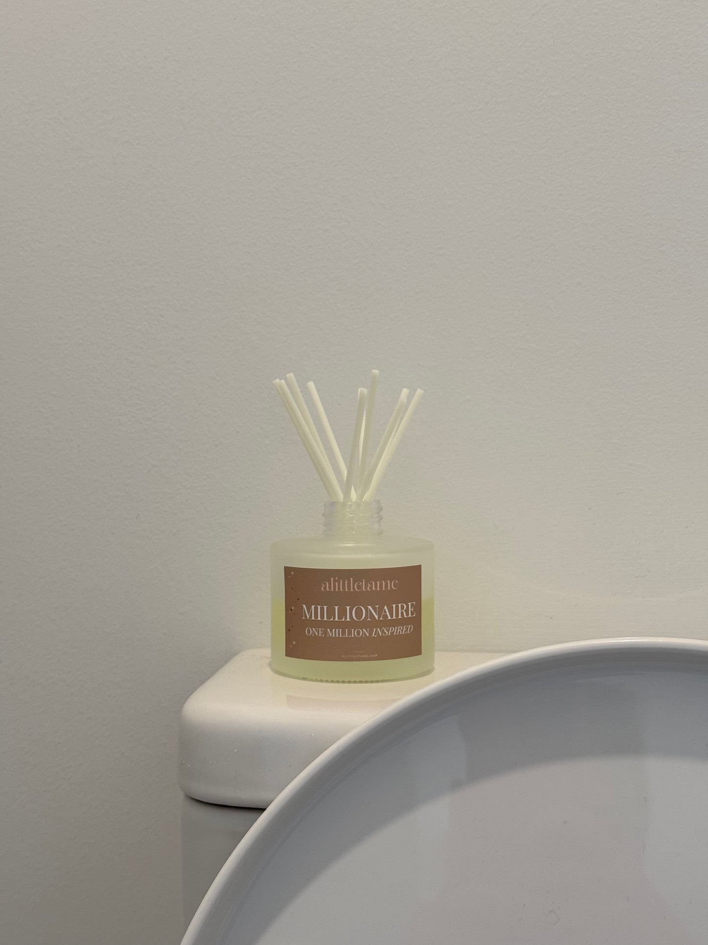 100ml reed diffuser small space scent styling
