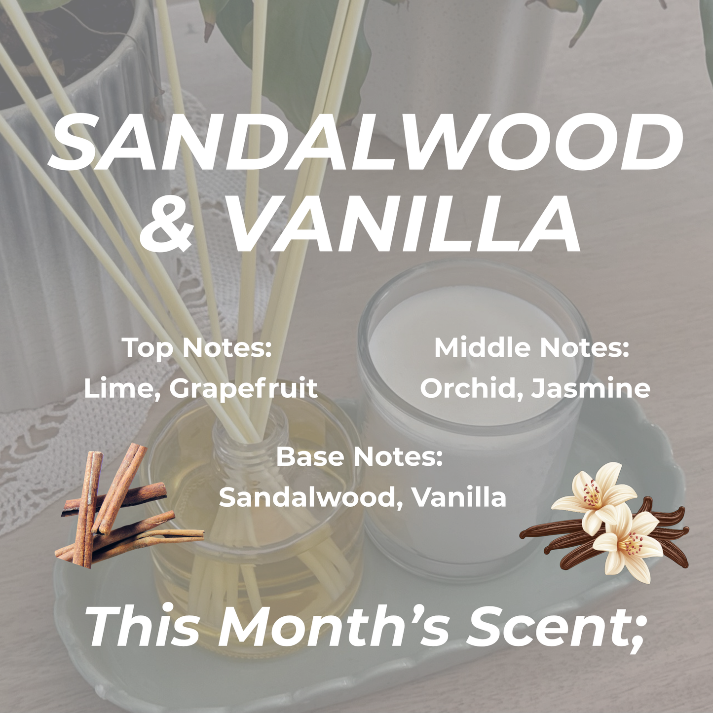 VIP Monthly Duo — Sandalwood & Vanilla. (Limited Edition)
