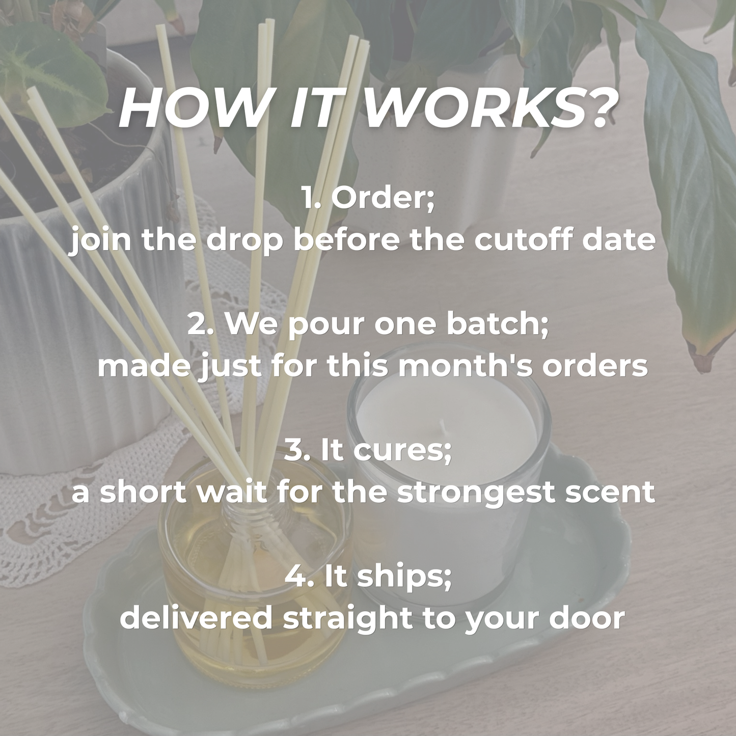 VIP Monthly Duo — Sandalwood & Vanilla. (Limited Edition)