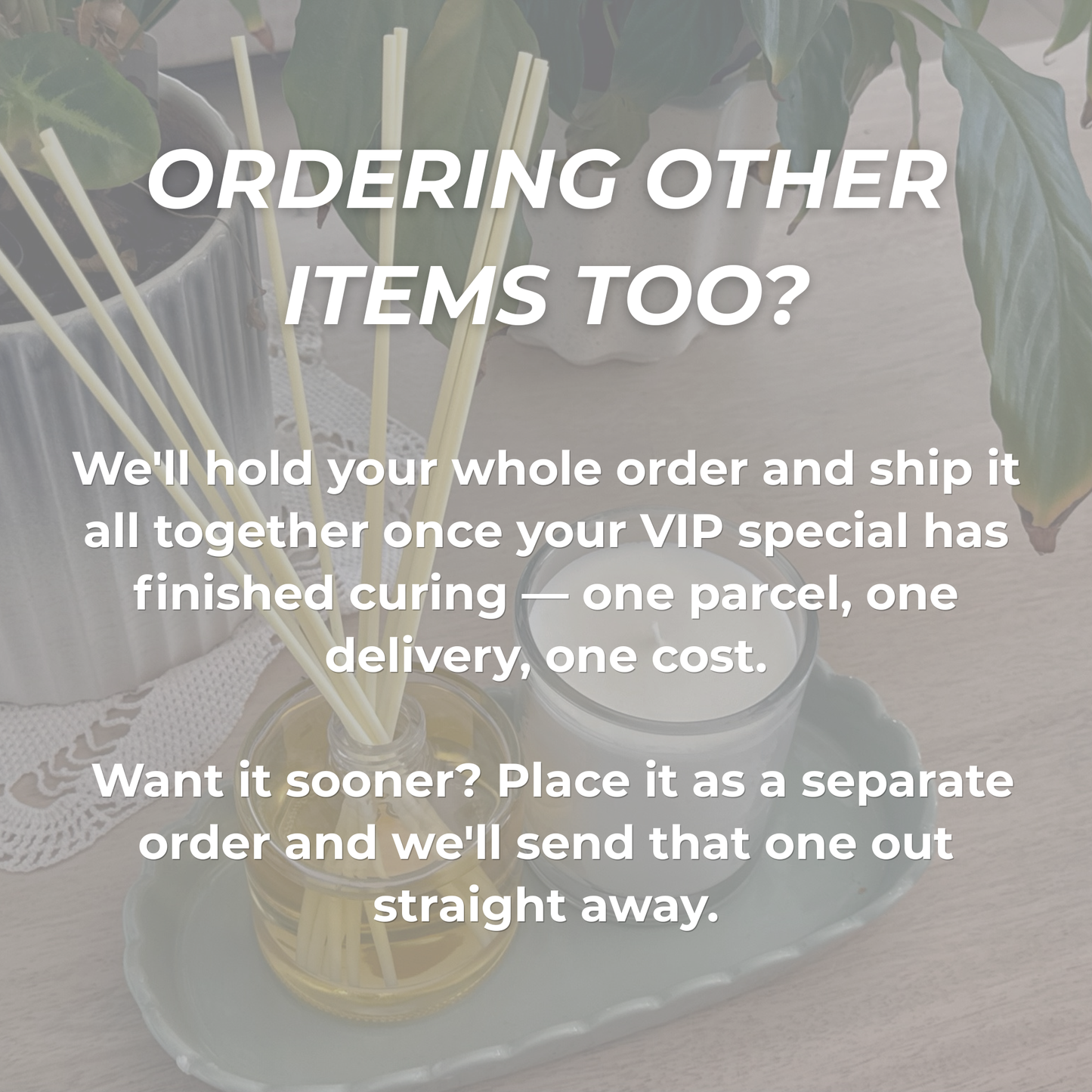 VIP Monthly Duo — Sandalwood & Vanilla. (Limited Edition)