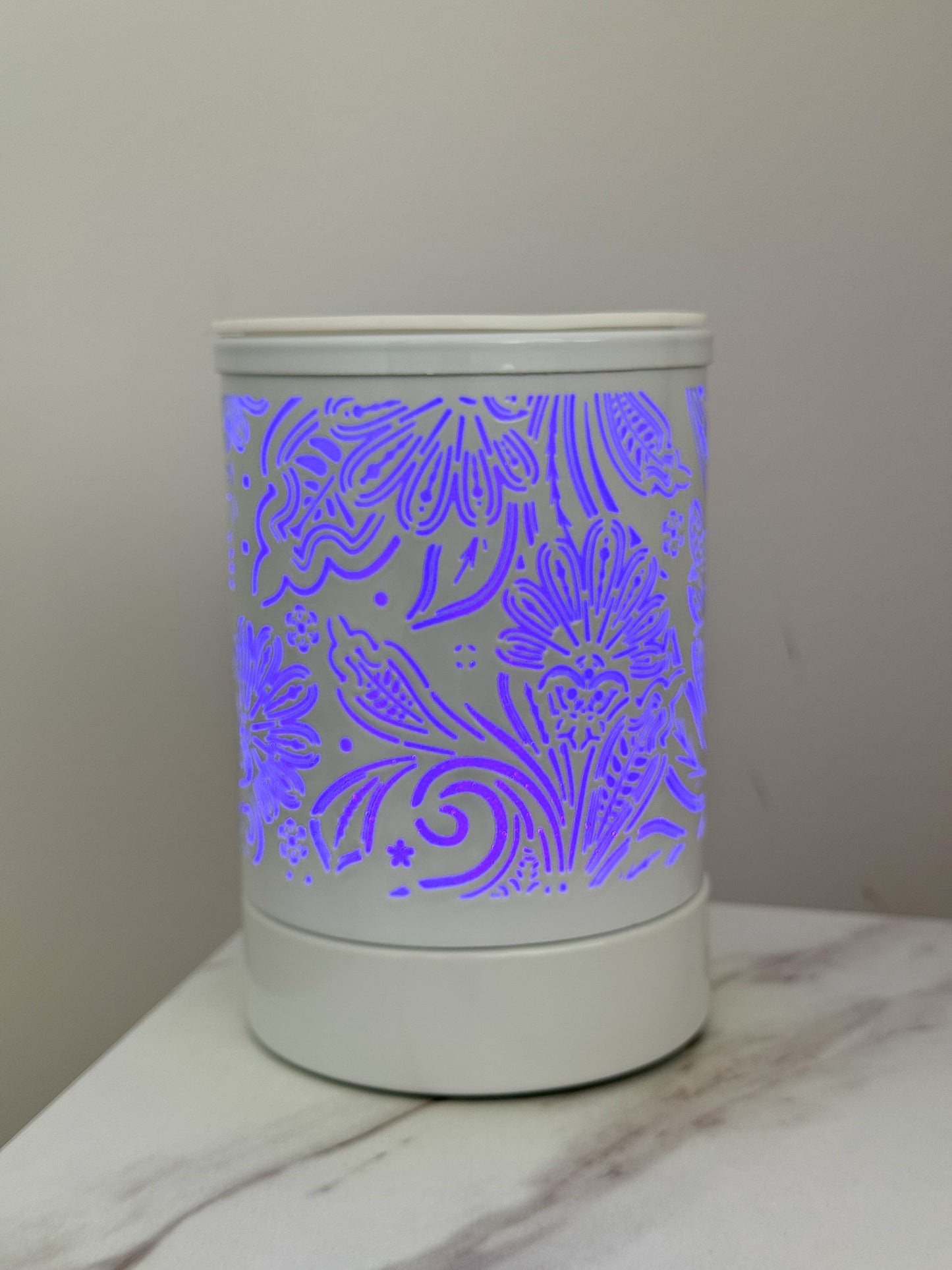Large Electric Wax Melter