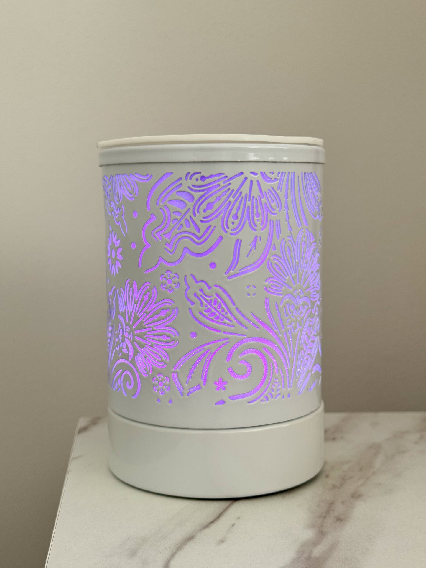 Large Electric Wax Melter