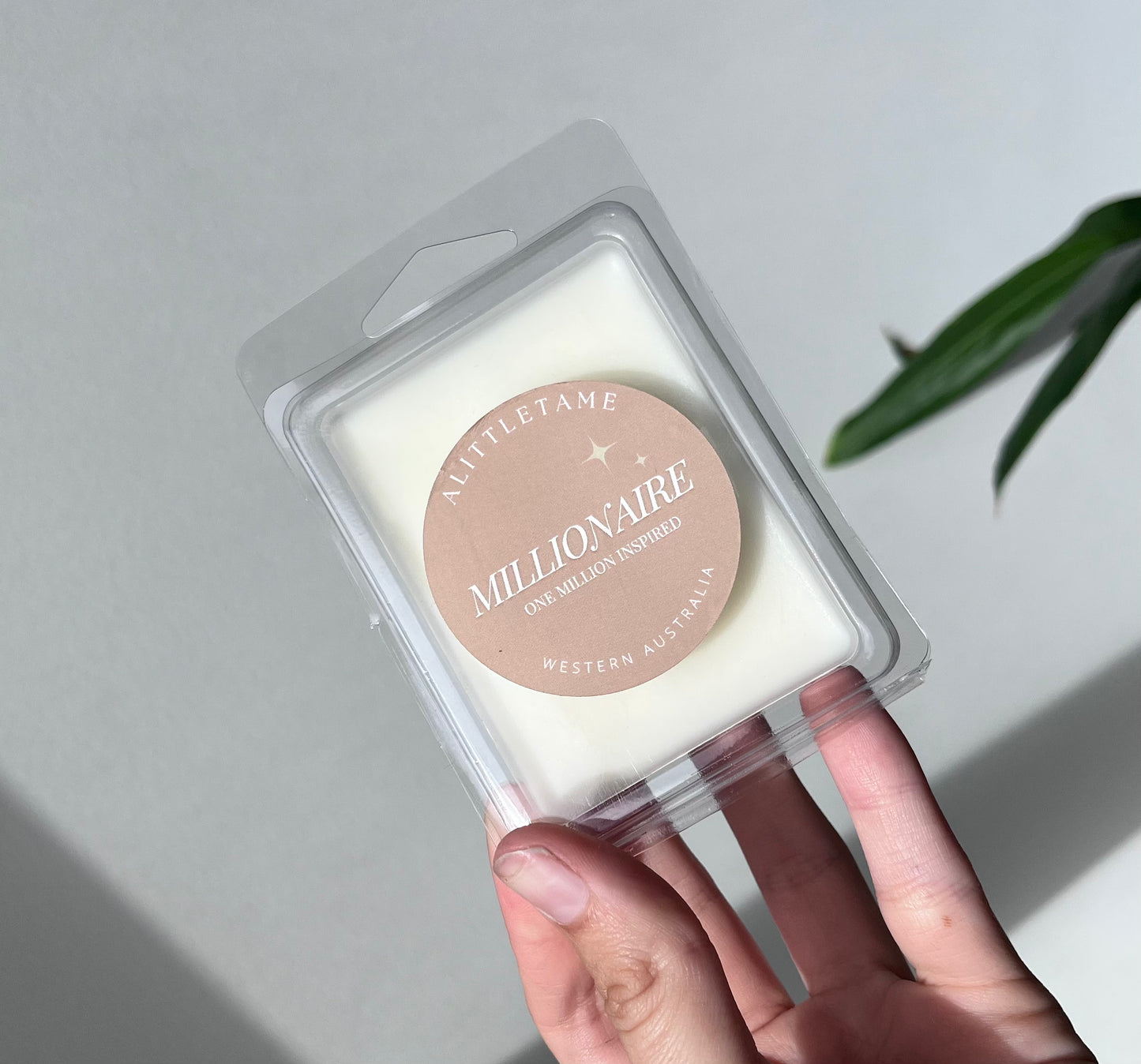 Hand-poured wax melts with long-lasting scent throw for wax burners