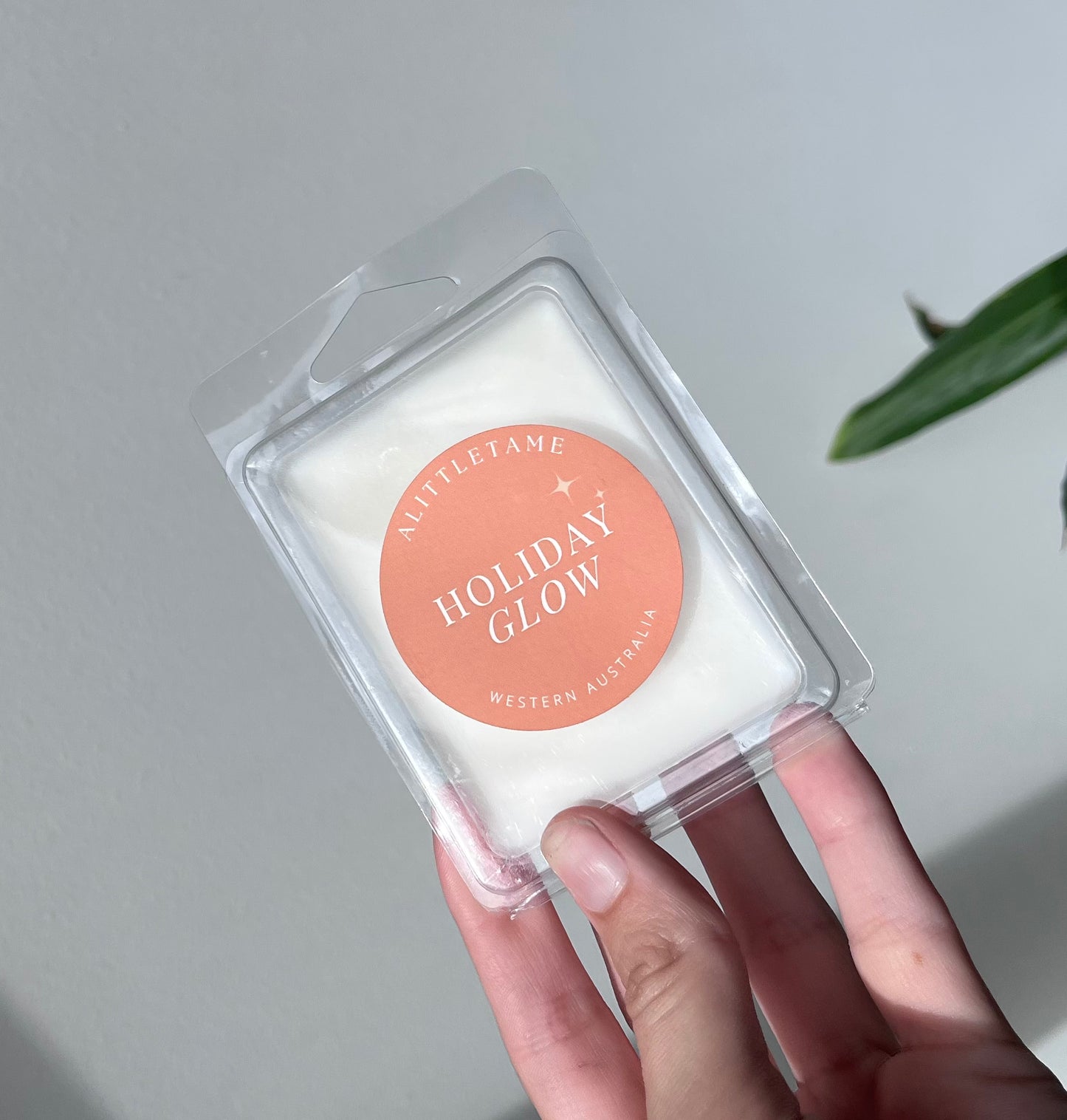 Scented wax melts for home fragrance in multiple scent options