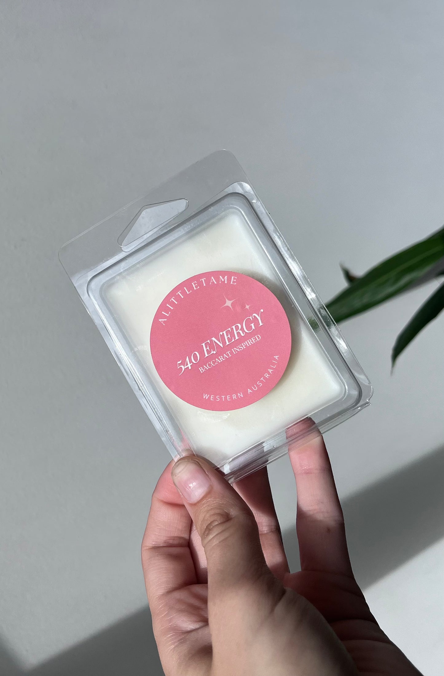 80g soy wax melts for wax burners with long-lasting fragrance