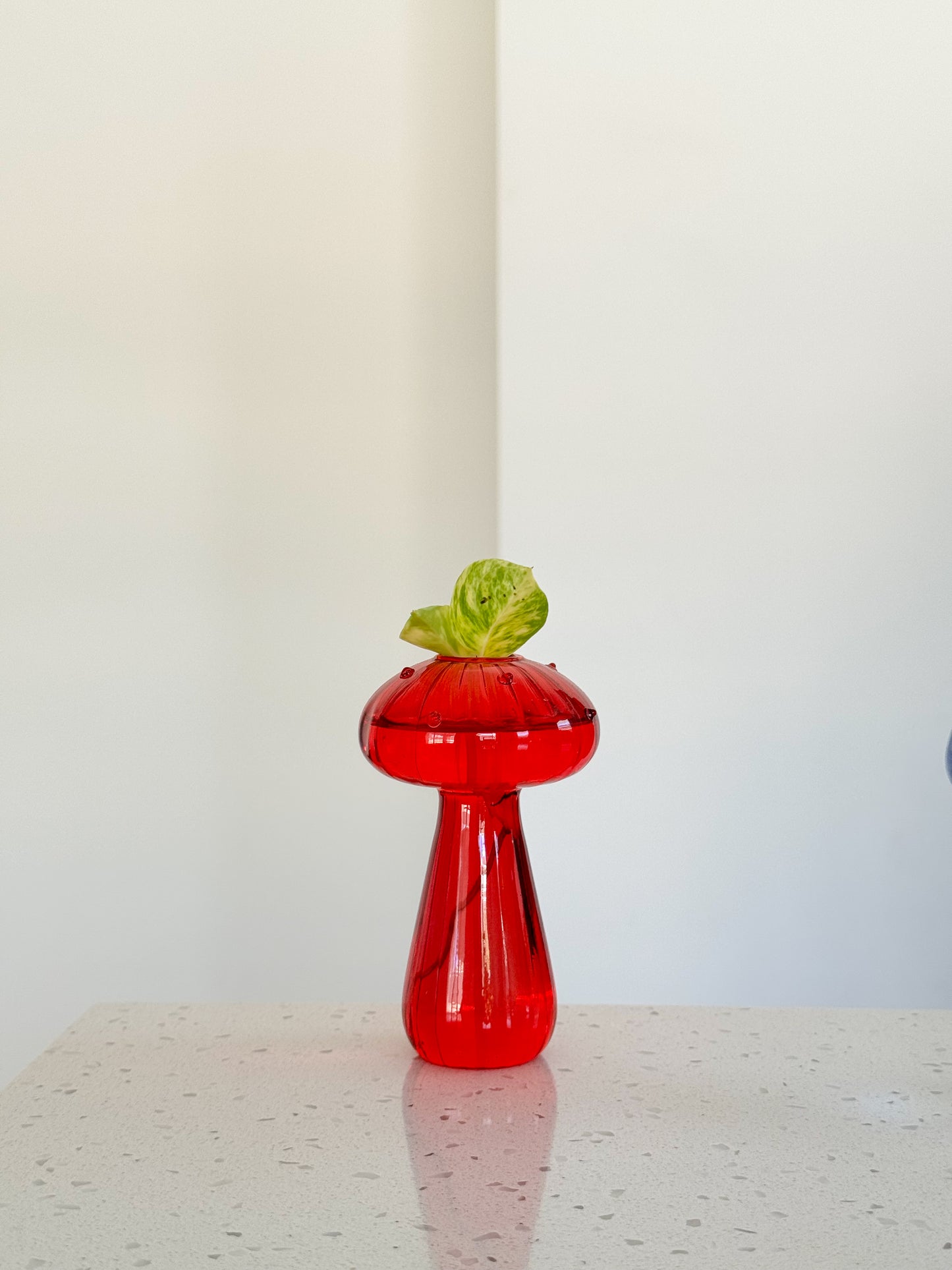 Mushroom Vase with Ivy – Plastic & Glass Options