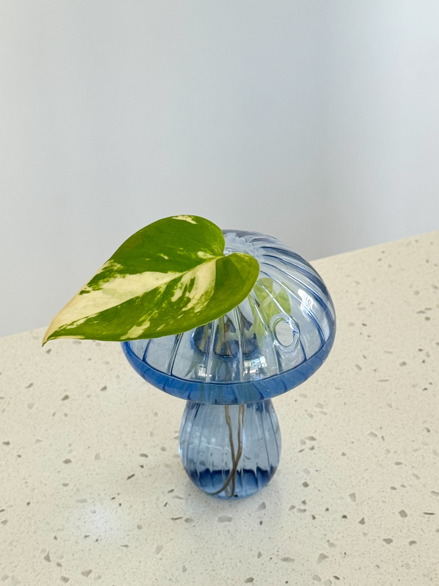 Mushroom Vase with Ivy – Plastic & Glass Options