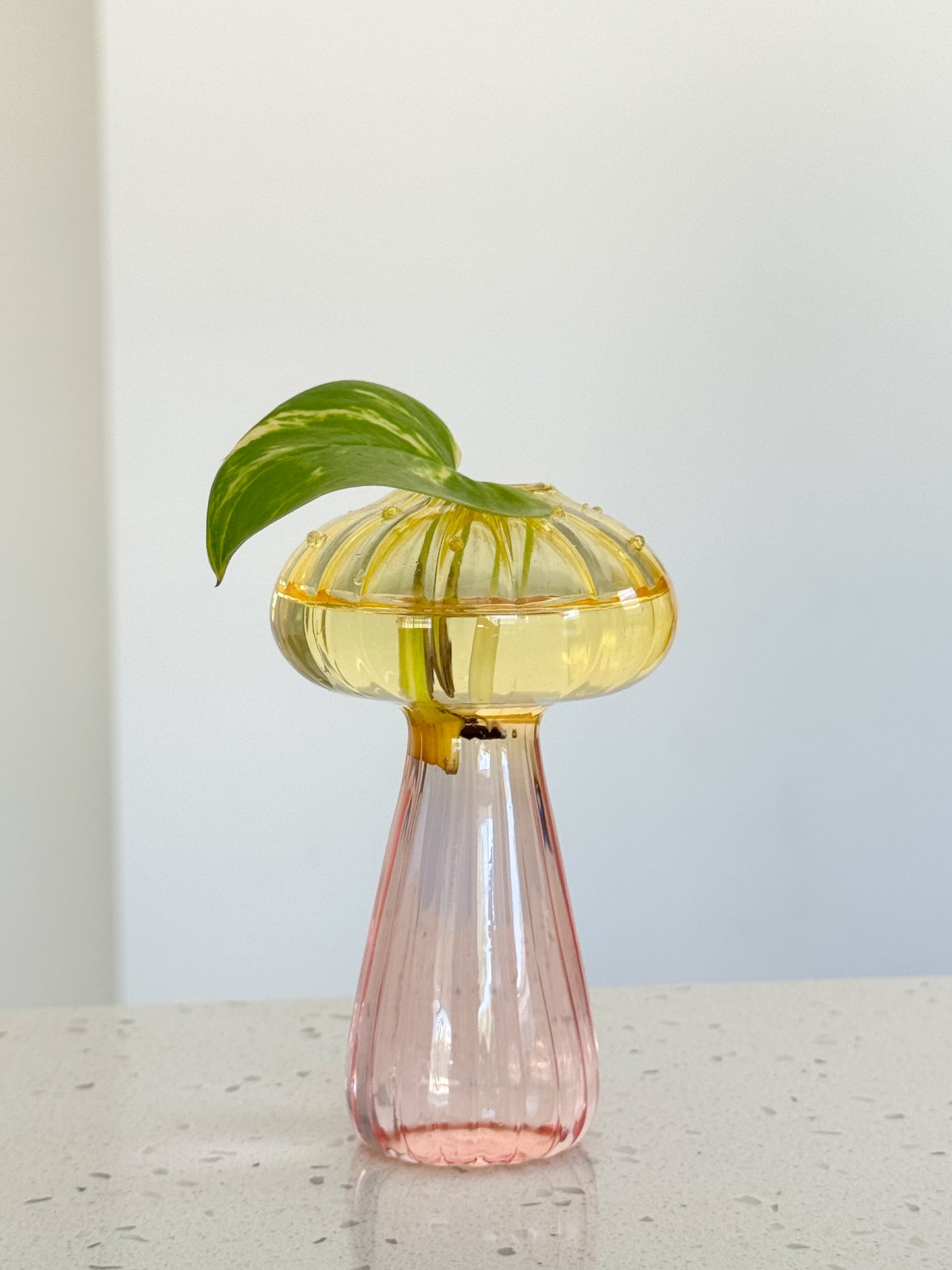 Mushroom Vase with Ivy – Plastic & Glass Options