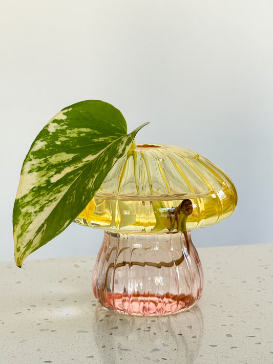 Mushroom Vase with Ivy – Plastic & Glass Options