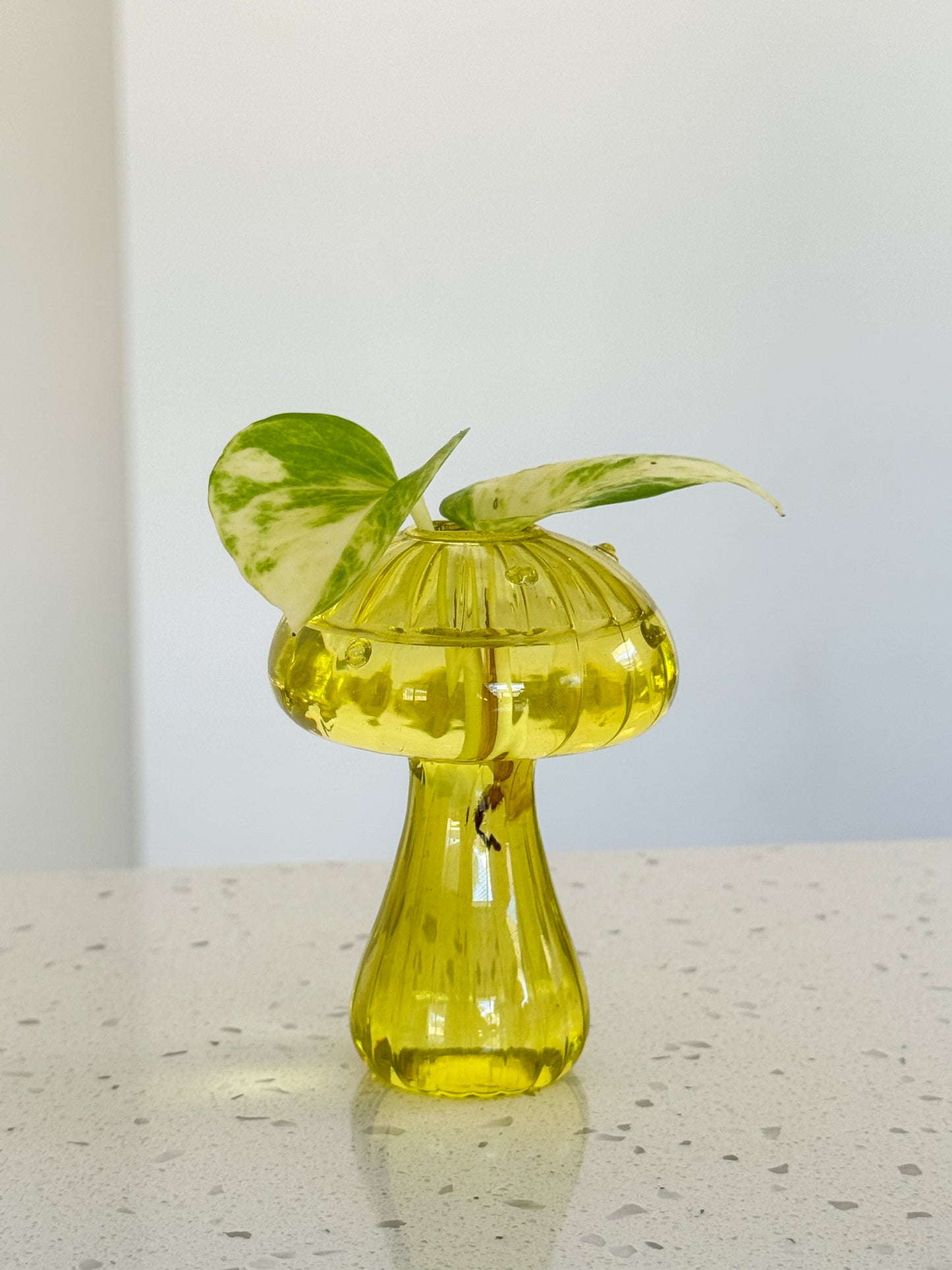 Mushroom Vase with Ivy – Plastic & Glass Options